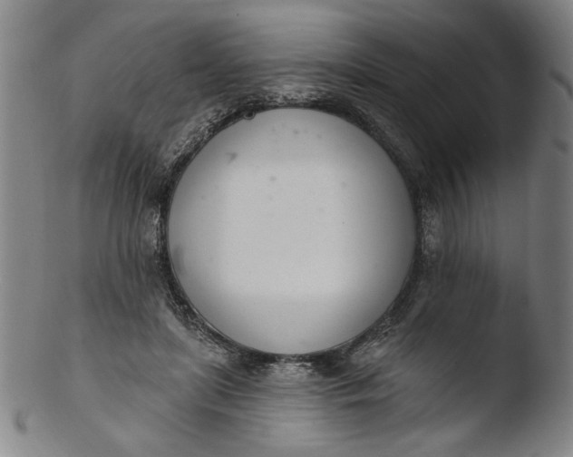 X0000103400451200809261624