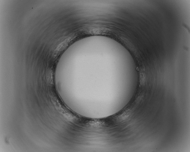 X0000103400453200809261624