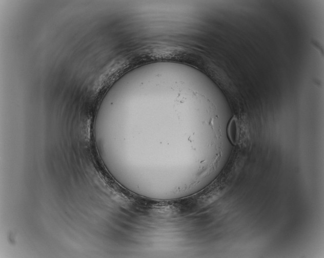 X0000103400454200809261624