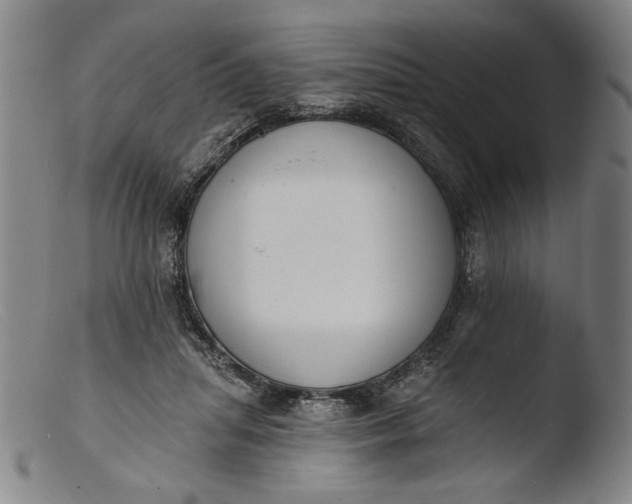 X0000103400455200809261624