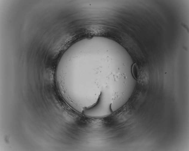 X0000103400456200809261624