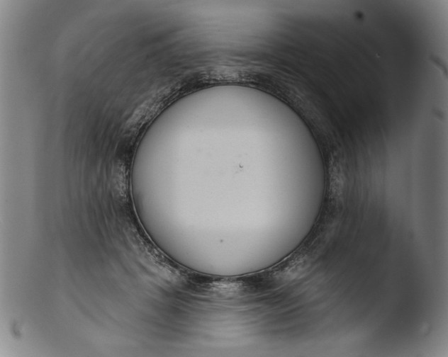 X0000103400457200809261624