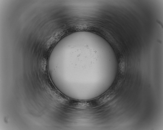 X0000103400458200809261624