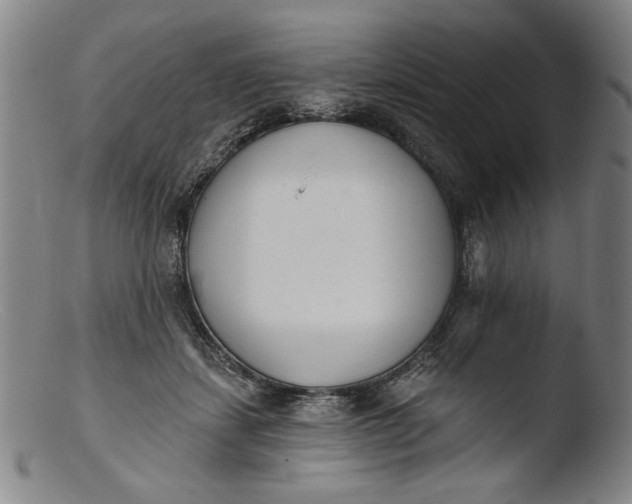 X0000103400459200809261624