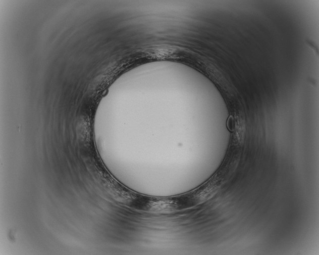 X0000103400461200809261624