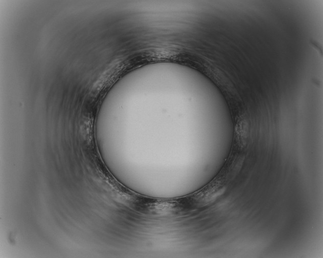 X0000103400462200809261624