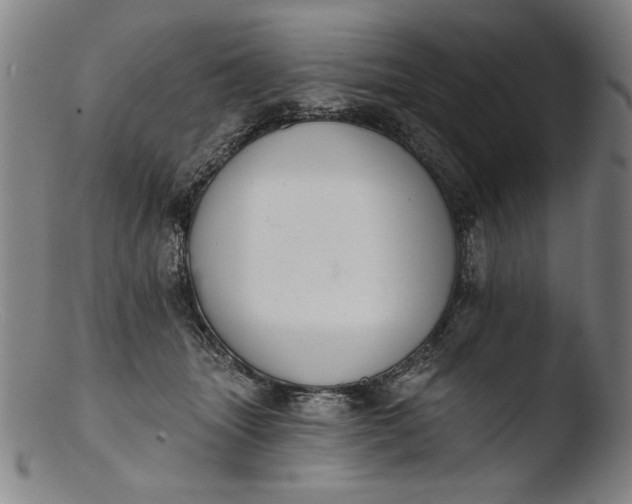 X0000103400463200809261624