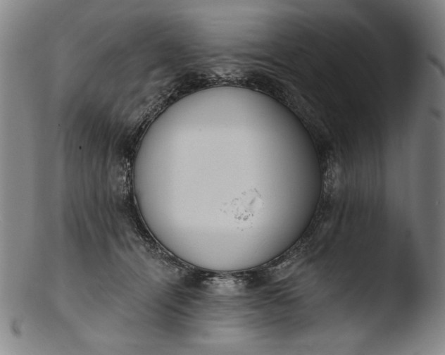 X0000103400464200809261624