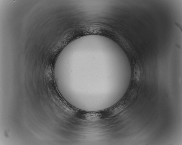 X0000103400465200809261624