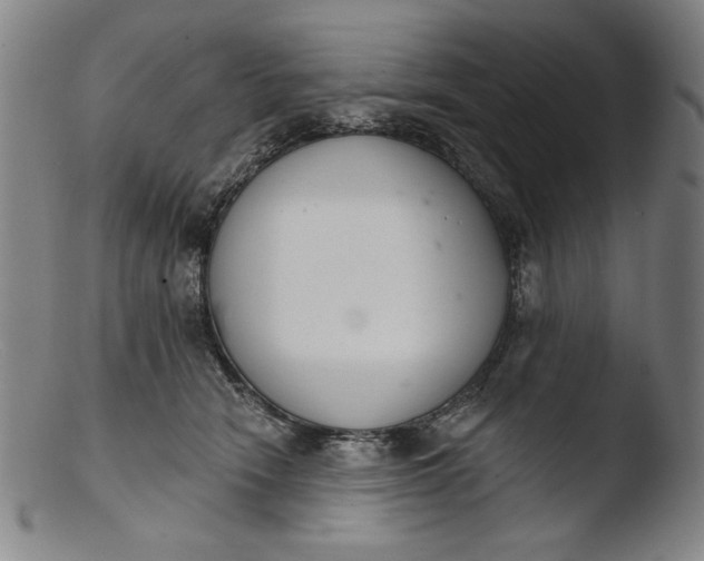 X0000103400466200809261624