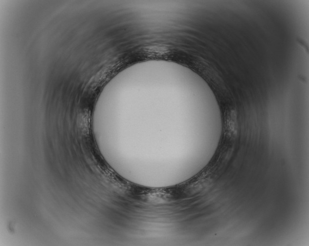 X0000103400468200809261624