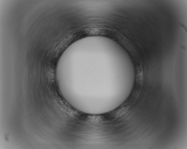 X0000103400469200809261624