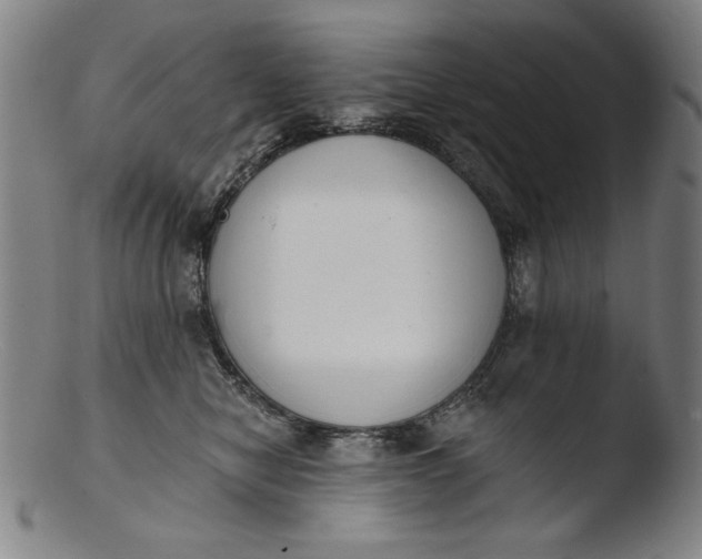 X0000103400470200809261624