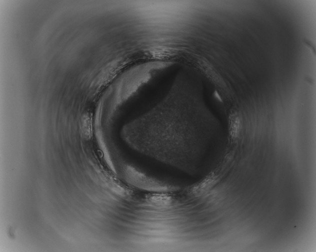 X0000103400471200809261624