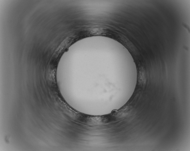 X0000103400473200809261624