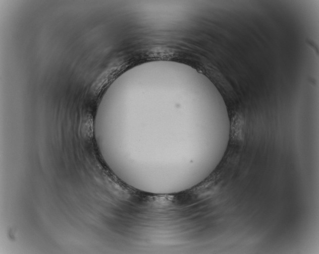 X0000103400474200809261624