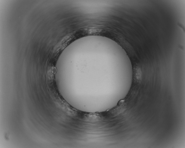 X0000103400475200809261624