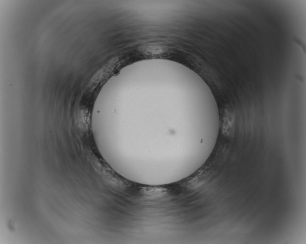 X0000103400476200809261624