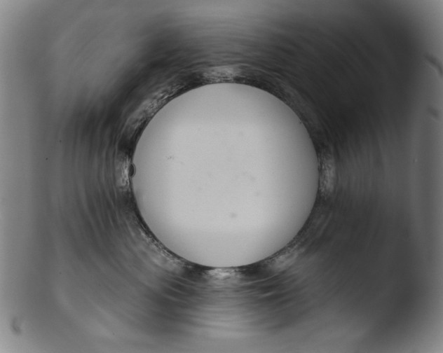 X0000103400477200809261624