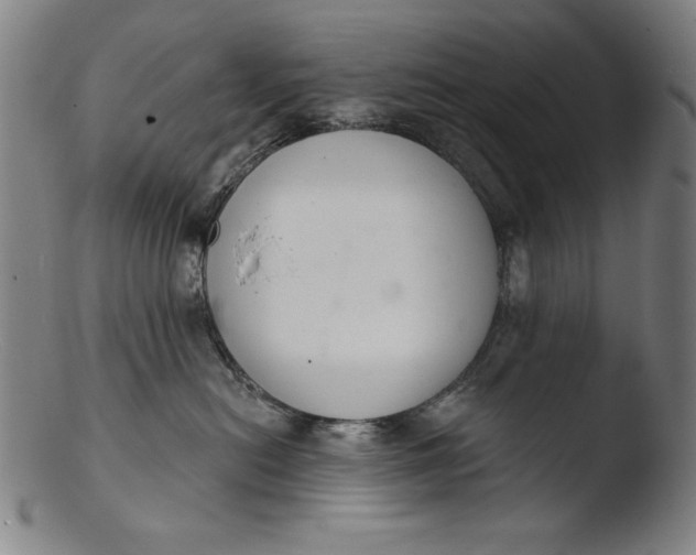 X0000103400478200809261624