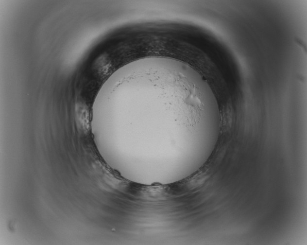 X0000103400479200809261624