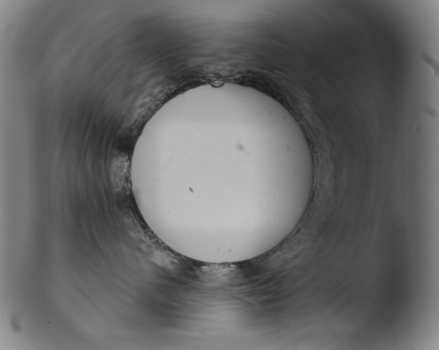 X0000103400480200809261624