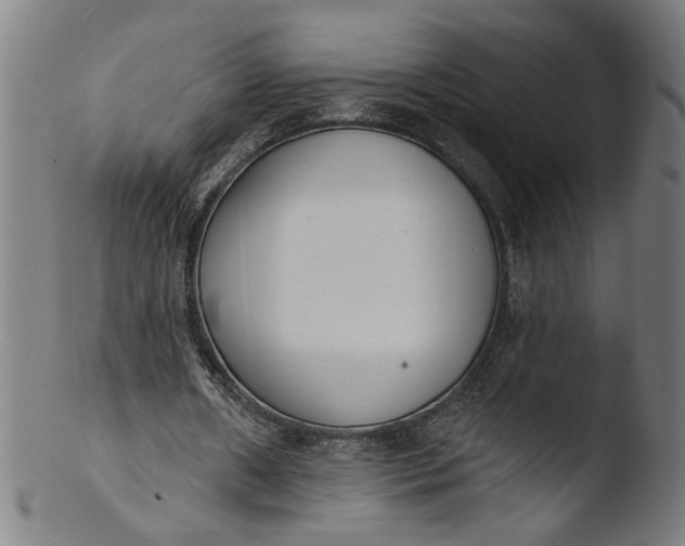 X0000103400482200809261623