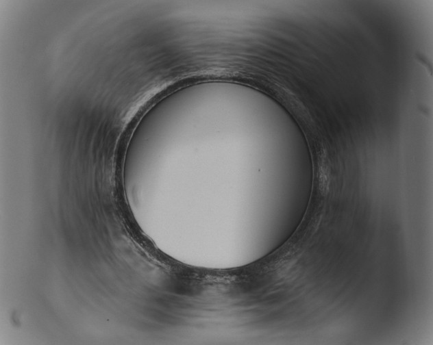 X0000103400484200809261623