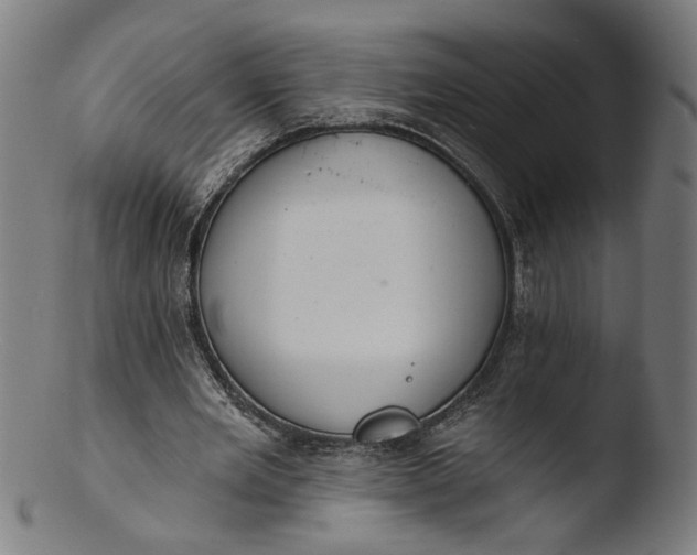 X0000103400485200809261623