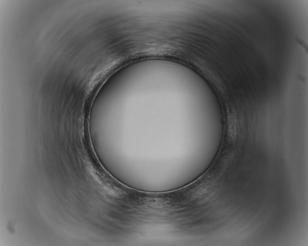 X0000103400486200809261623