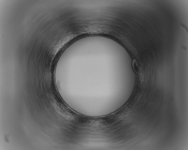 X0000103400488200809261623