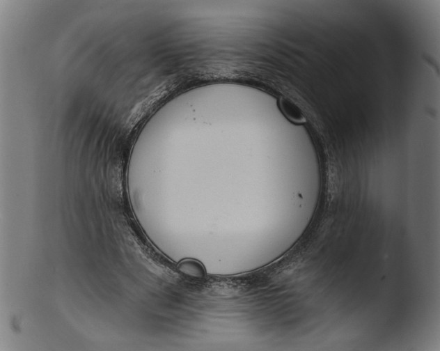 X0000103400489200809261623