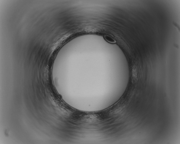 X0000103400492200809261623