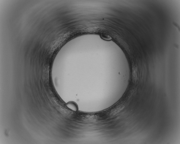 X0000103400493200809261623