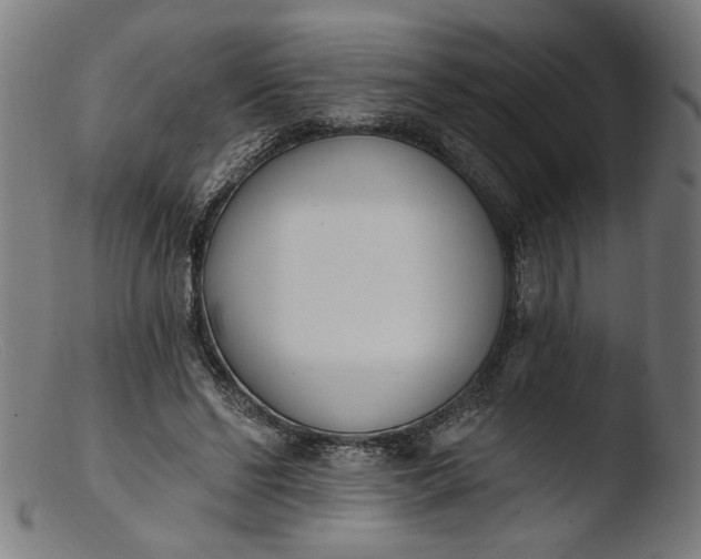 X0000103400494200809261623