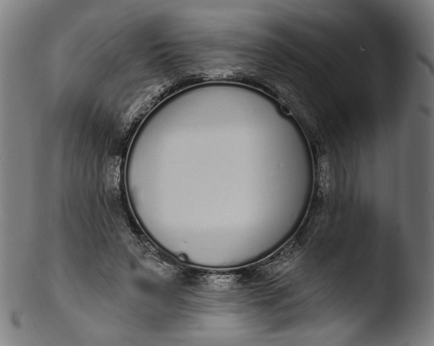 X0000103400495200809261623