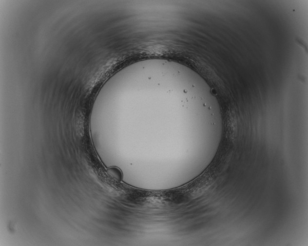 X0000103400496200809261623