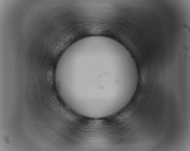 X0000103400497200809261623