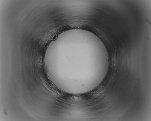 X0000103400498200809261623