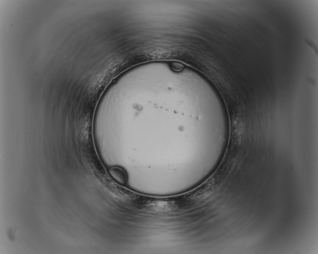 X0000103400499200809261623