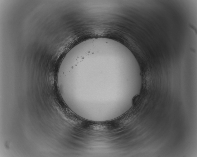 X0000103400500200809261623