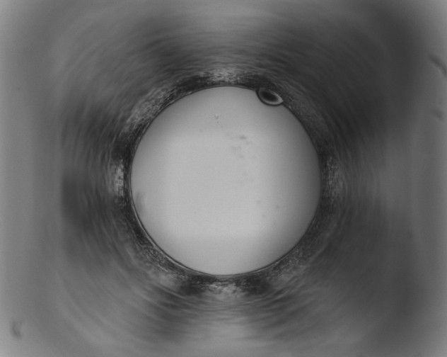 X0000103400502200809261623