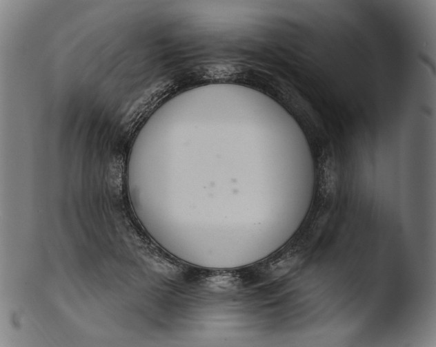 X0000103400505200809261623