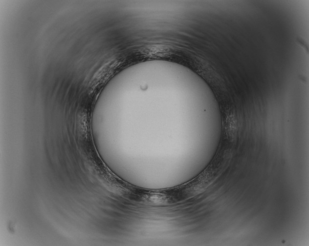 X0000103400506200809261623