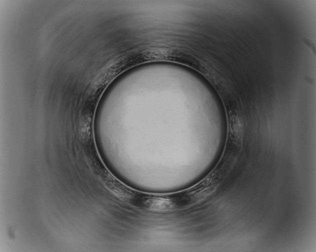 X0000103400507200809261623