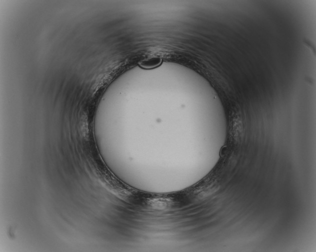 X0000103400508200809261623