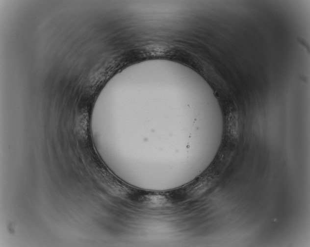 X0000103400509200809261623