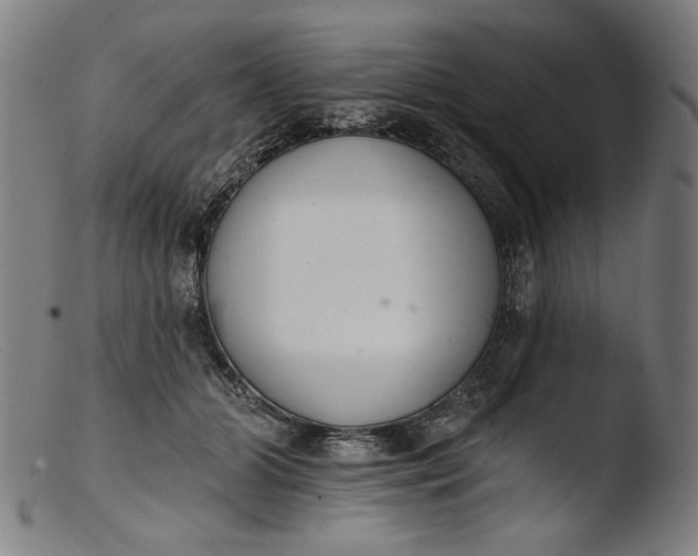 X0000103400510200809261623