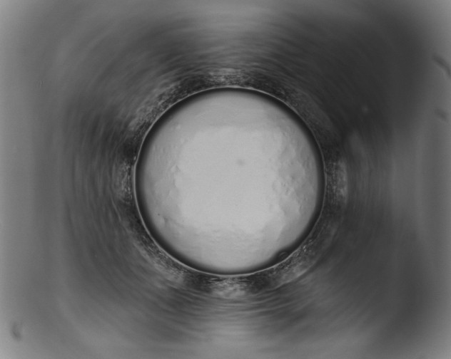 X0000103400511200809261623