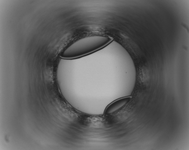 X0000103400512200809261623